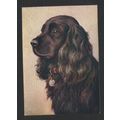 DE RESKE THE COCKER SPANIEL CIGARETTE LARGE PAC...