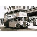 Black & White Photograph of Northampton Corpora...
