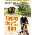Gypsy Boy On The Run