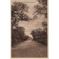 Club Road Jalandhar Jullunder Real Photo Postcard