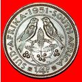 BIRDS (1951-1952): SOUTH AFRICA ★ 1/4 PENNY 195...