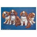 rp13799 - Louis Wain Dogs - Will She Choose Me ...