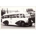 Bus Photo Trent Motor Traction 608 AEC Regal II...