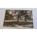 1940s real photo Postcard - Caldecott Park, Rug...
