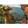 Puerta de La Cruz Tenerife Spain postcard poste...
