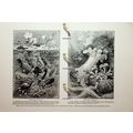 Fresh-water & Salt-water Aquaria, Book Illustra...