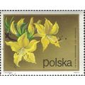POLAND, FLOWER, Rhodedendron flavum, gold 1972,...