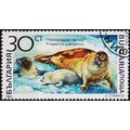 Bulgaria. 1991 30s S.G.3814 Used