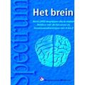 Het Brein Van A Tot Z