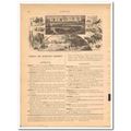 africa scenery and animals 1882 antique print