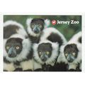 Black & White Ruffed Lemurs Jersey Zoo Postcard...
