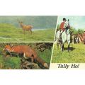 TALLY HO! : POSTCARD