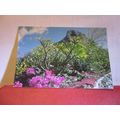 THE MORNE, MAURITIUS used postcard #