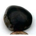 Petrified Wood Freeform Gemstone Cabochon 26