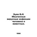 Zuev V.A. Slow viral infections in humans and a...