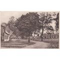 ED 164 TEMPLE SOWERBY. PRINTED POSTCARD