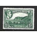 MONTSERRAT 1938 1/2d GREEN CARRS BAY SG 101A M ...
