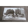 Early Straughan real photo Postcard - Saltwood ...