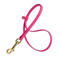 Dog Pet Grooming Loop W 3/8" x L 21" Passionfru...