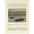 Sardine Fishing, Normandy, France, Book Illustr...