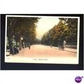 Bedfordshire LUTON Bedford Road Postcard (20257)