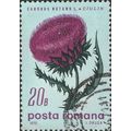 ROMANIA, FLOWER, Carduus nutans, light blue 197...
