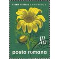 ROMANIA, FLOWER, Adonis vernalis, green 1970, 1...