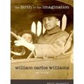 The Birth of the Imagination