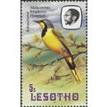 LESOTHO, BIRD, Bushshrike, Malaconotus telophorus, violet 1982, 5s