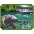 Homosassa Springs Wildlife State Park Florida w...