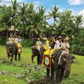 Bali Safari and Marine Park tour-Elephant Back ...