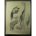 1953 Cartoon by Bernard Wiseman - Speak up! Spe...