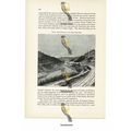 Golfolino Of The Arno, Near Signa, Italy, Book ...