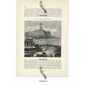 Palermo & Monte Pellegrino, General View, Italy...