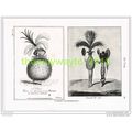EXTRAORDINARY FASHIONS , VICTORIAN HUMOUR, Book...