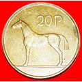 HORSE: IRELAND ★ 20 PENCE 1996! LOW START★NO RE...