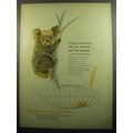 1957 Orient Line Cruise Ad - Largest and fastest liners to Australia