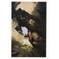 Briery Cave Watermouth Devon Postcard C1