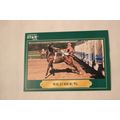 Wild Ride #6 1991 Jockey Star NO. 218