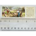 1935 Typhoo Swiss Family Robinson No. 15 Buildi...