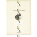 Northern Seas, Walrus, Animal Book Illustration...