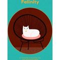 Felinity