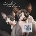 NIGER 2014 SHEET MNH CATS CHATS KATZEN GATOS GA...