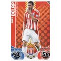 Match Attax 2010/2011 246 Rory Delap Stoke City