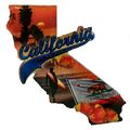 California The Golden State Jumbo Artwood Foil ...