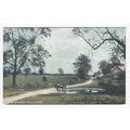 Near Someries Castle Luton Postcard 1906 Bedfor...
