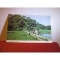 BOSHERSTON, LILY POOLS, Wales.. used postcard b...