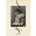 Ellen Terry, Actress, Book Illustration (Print)...