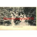 Waterfall, Virginia Water, Surrey, Postcard 1918