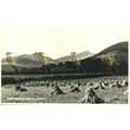 Brecknock Beacons, Wales, RP 10633 Judges Postcard